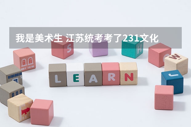 我是美术生 江苏统考考了231文化课 考多少才能上本科