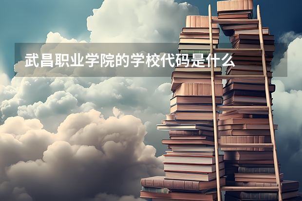 武昌职业学院的学校代码是什么