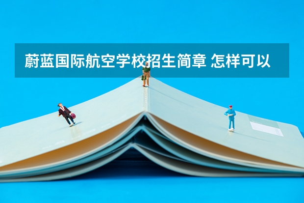 蔚蓝国际航空学校招生简章 怎样可以开飞机(民航)?