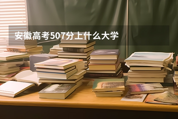 安徽高考507分上什么大学