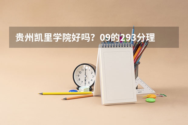 贵州凯里学院好吗？09的293分理科能进吗
