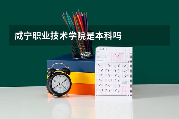 咸宁职业技术学院是本科吗