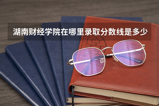 湖南财经学院在哪里录取分数线是多少？