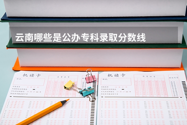 云南哪些是公办专科录取分数线
