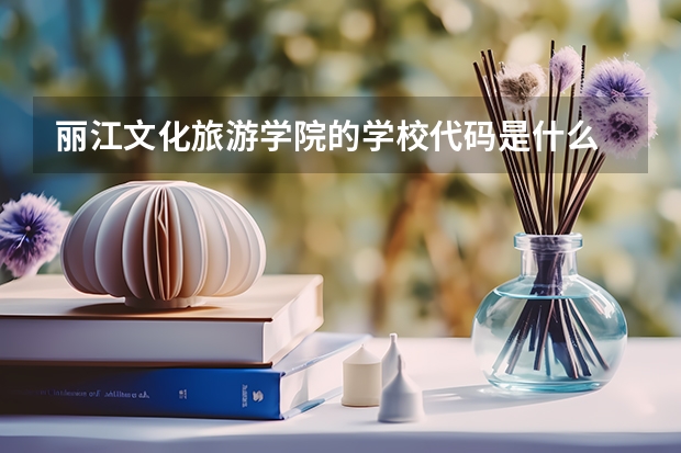 丽江文化旅游学院的学校代码是什么