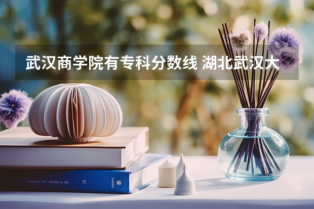 武汉商学院有专科分数线 湖北武汉大专分数线