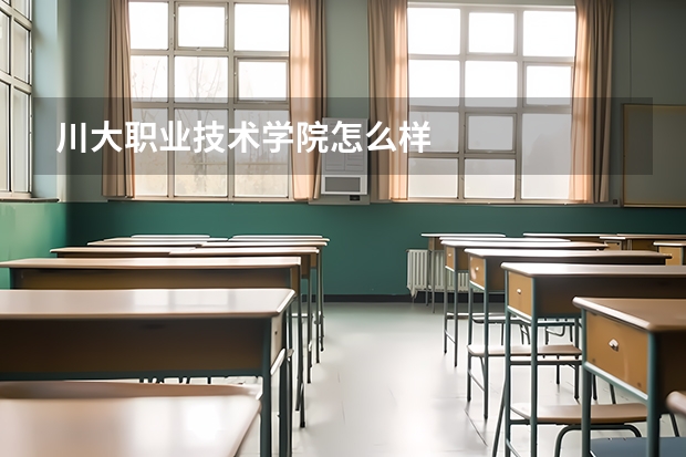 川大职业技术学院怎么样