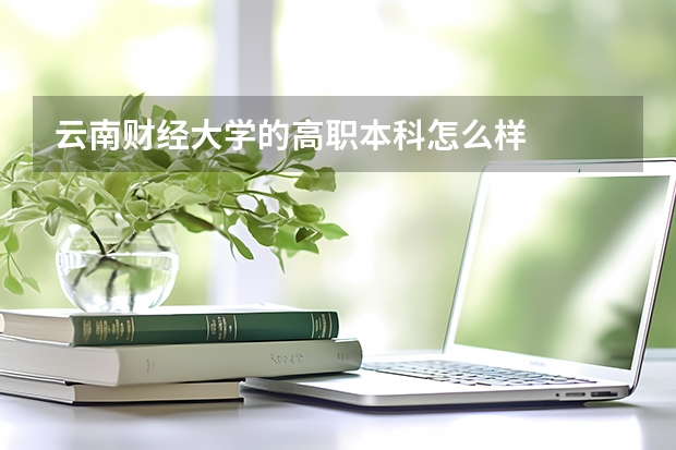 云南财经大学的高职本科怎么样