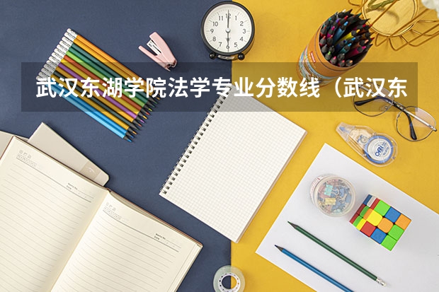 武汉东湖学院法学专业分数线（武汉东湖学院专升本分数线）