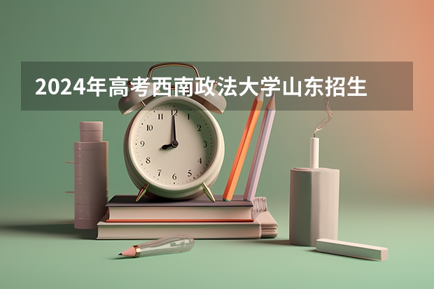 2024年高考西南政法大学山东招生计划（招生人数多少）