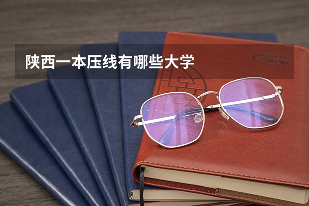陕西一本压线有哪些大学