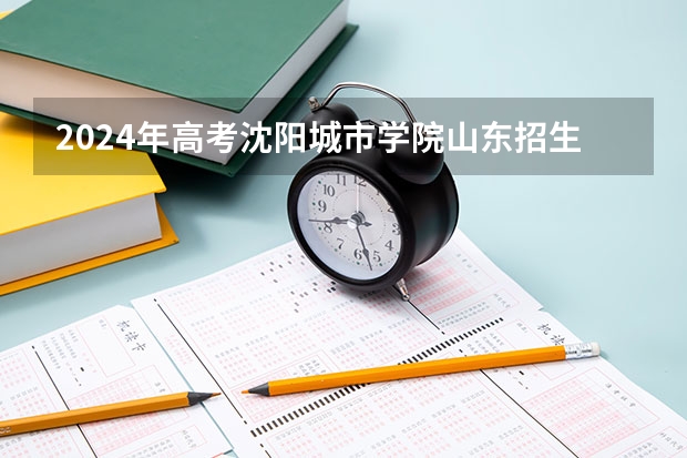 2024年高考沈阳城市学院山东招生计划（招生人数多少）