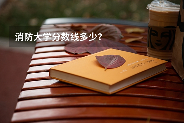 消防大学分数线多少?