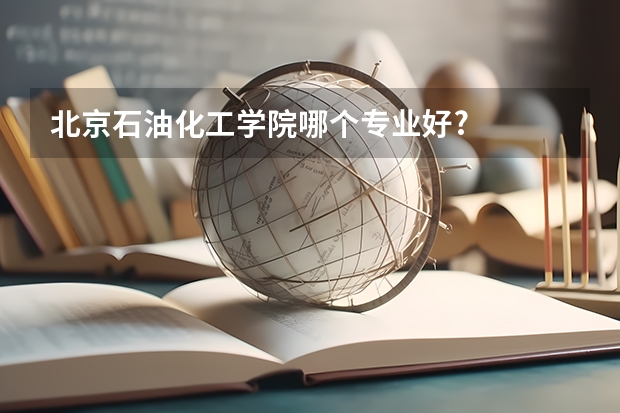 北京石油化工学院哪个专业好?