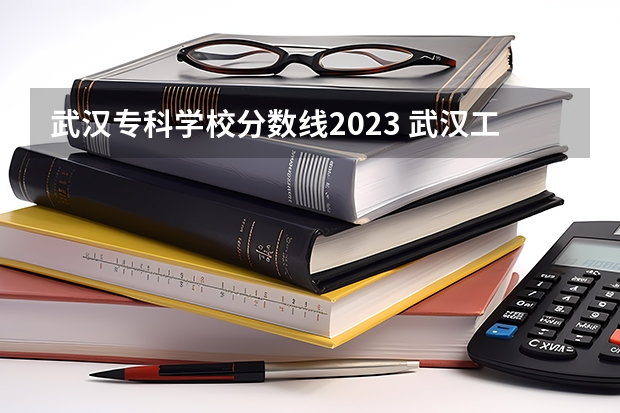 武汉专科学校分数线2023 武汉工程大学专科在各省录取分数线？