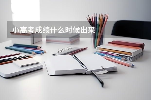 小高考成绩什么时候出来