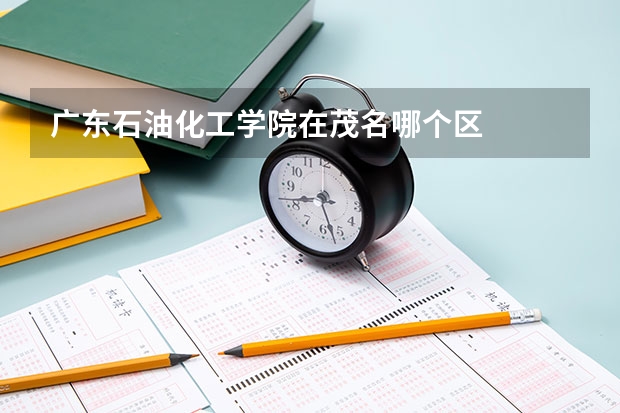 广东石油化工学院在茂名哪个区