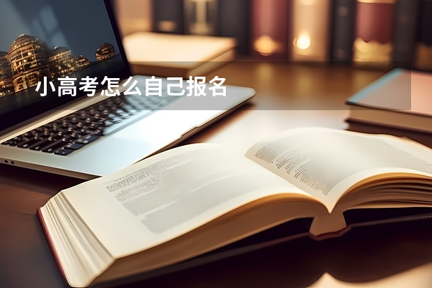 小高考怎么自己报名