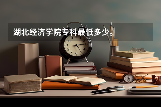 湖北经济学院专科最低多少。