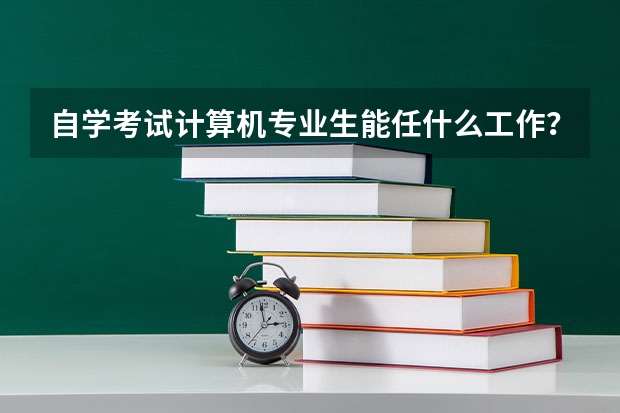 自学考试计算机专业生能任什么工作？