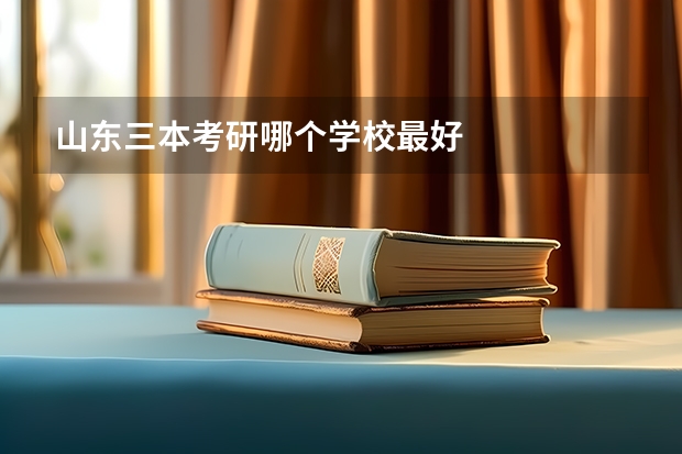 山东三本考研哪个学校最好