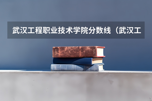 武汉工程职业技术学院分数线（武汉工程职业技术学院录取线）
