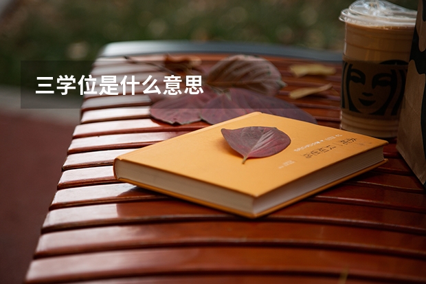 三学位是什么意思
